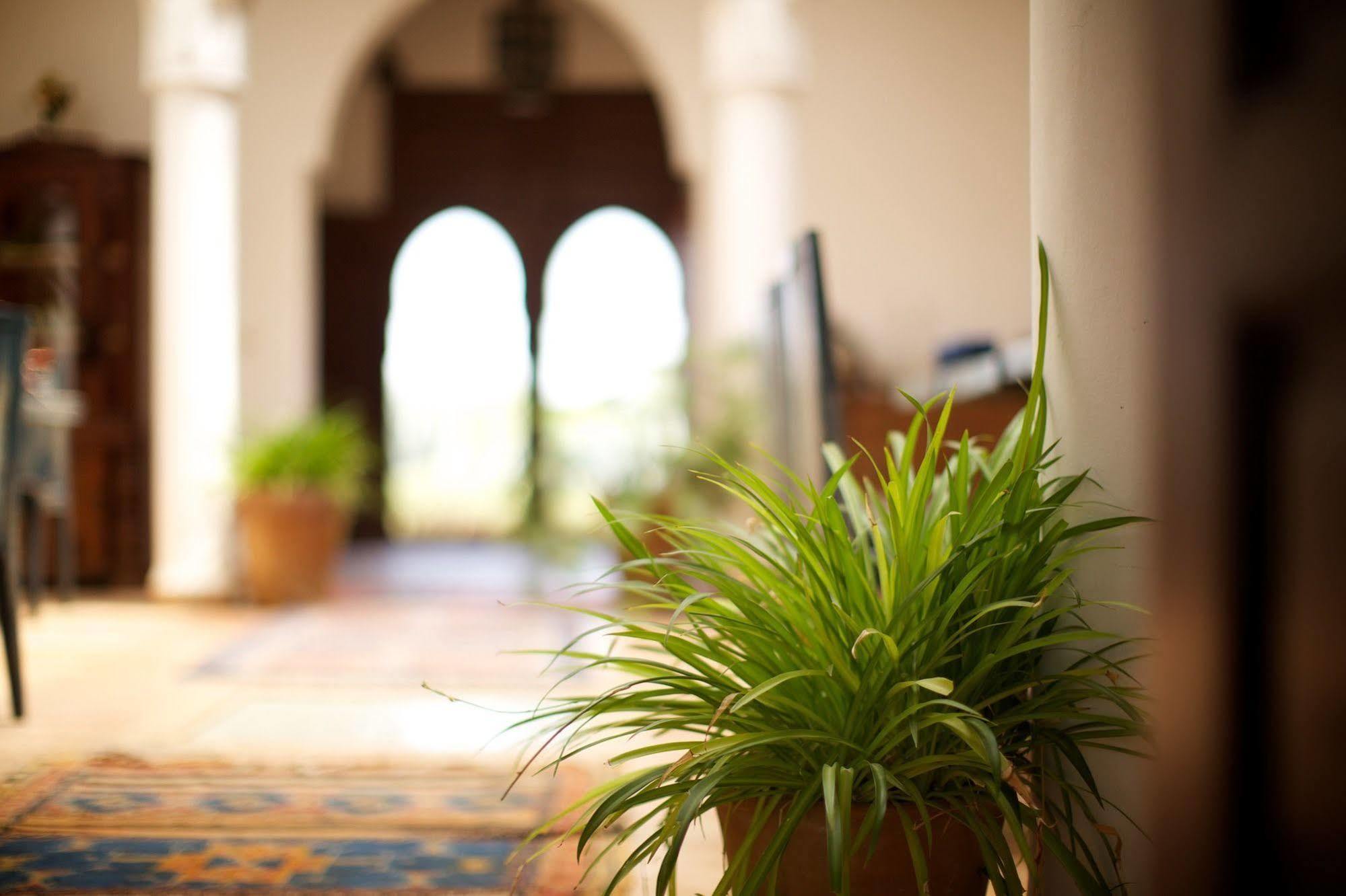 Riad Couleur Sable Sidi Abdallah Ghiat エクステリア 写真
